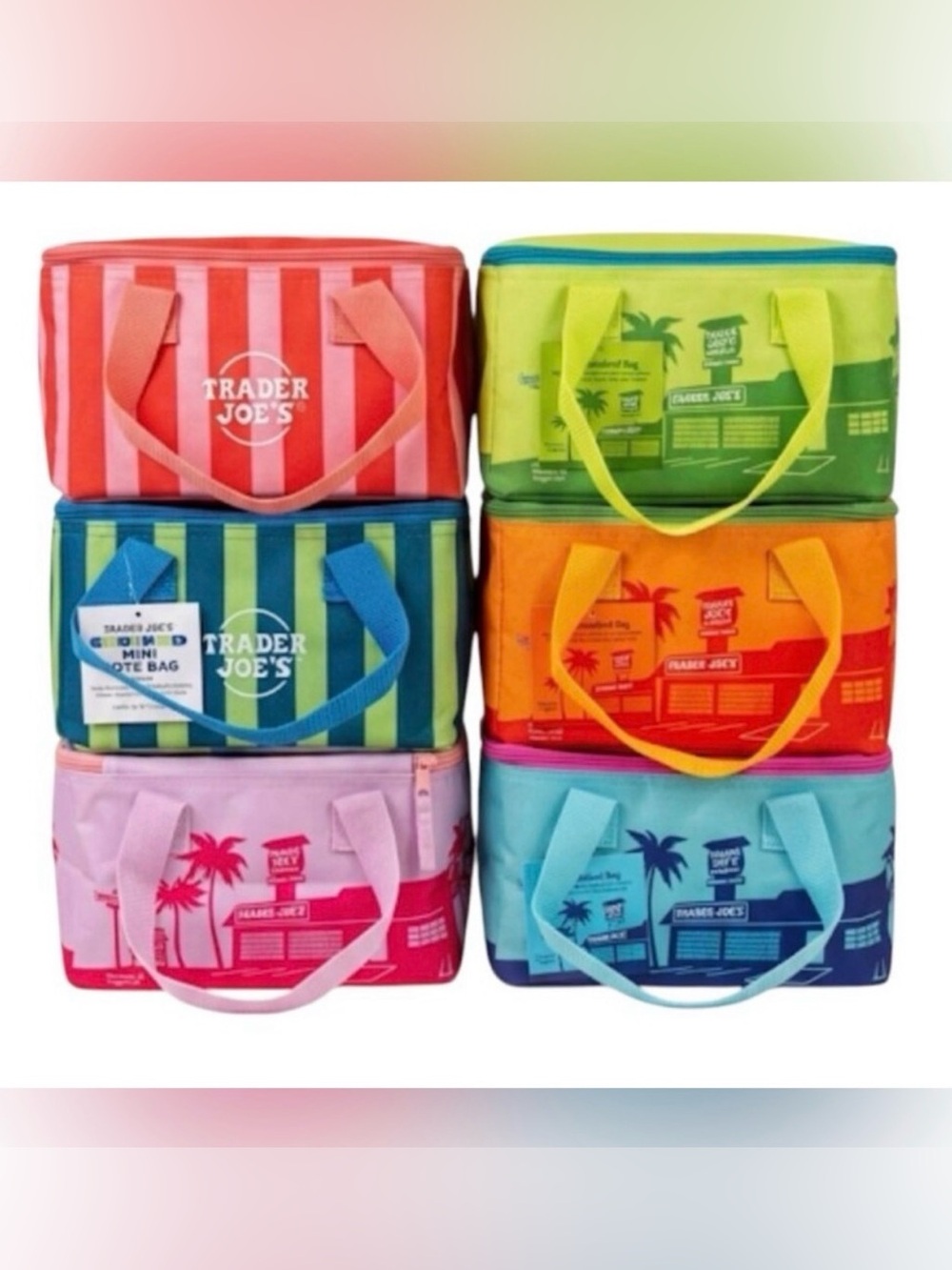 NWT Trader Joe’s limited edition mini cooler bundle of 6